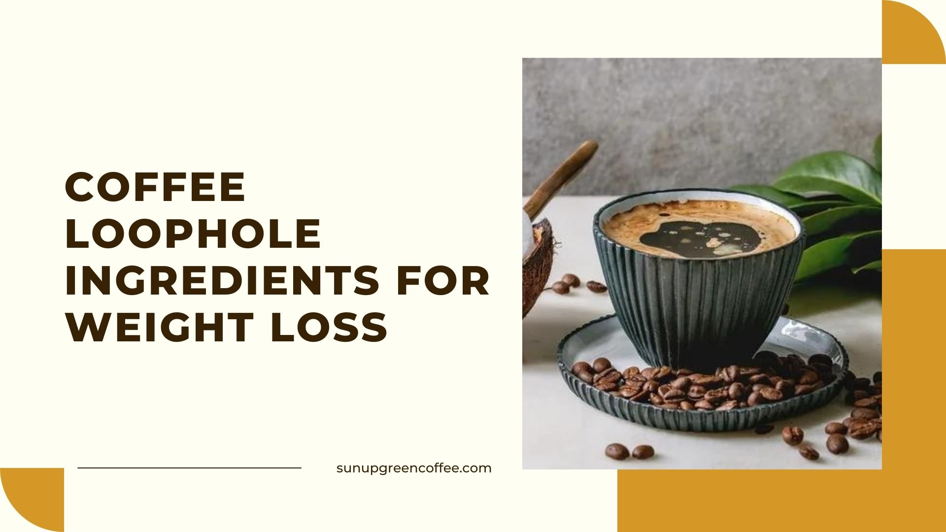 coffee loophole ingredients for weight loss